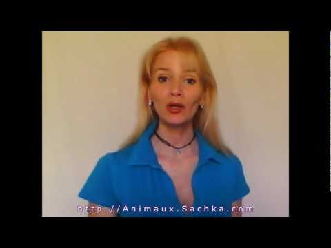 comment retrouver quelque chose que l'on a perdu chez soi