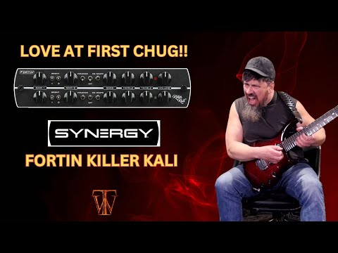 Synergy Fortin Killer Kali 2-channel Preamp Module image 8