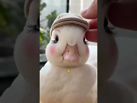 O que o Call Duck nunca vai te contar🪿 #animais #curiosidades #patos