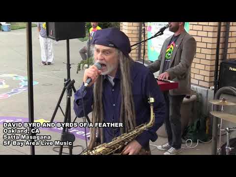 Promotional video thumbnail 5 for David Byrd & Byrds of a Feather