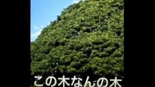 この木なんの木 マコヴィッ木！