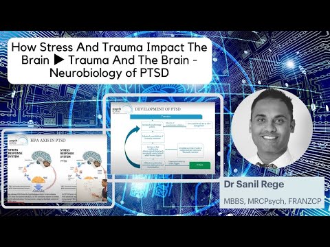 How Stress And Trauma Impact The Brain ▶ Trauma And The Brain - Neurobiology of PTSD 2020