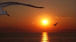 One Day I'll Fly Away