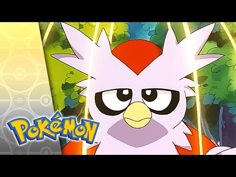 Dues and Don'ts | POKÉMON FULL EPISODE 22 | Season 5