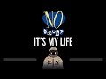 No Doubt • It's My Life (CC) 🎤 [Karaoke] [Instrumental Lyrics]