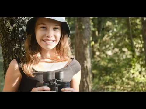 Bugs Team 3 DVD - Unit 1