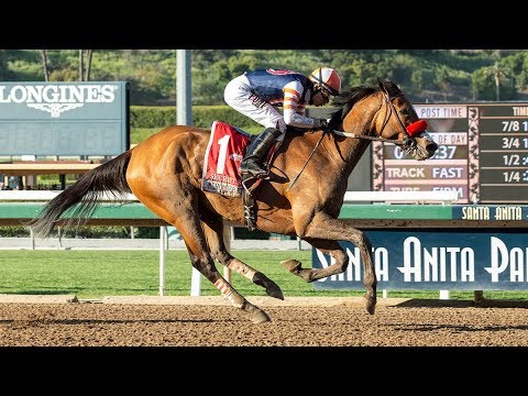 SECRET SPICE: The November Sale (2019)