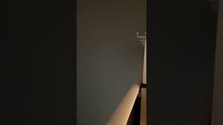 Cruising in thick fog off Guernsey. Would you risk going ashore or stay on board? #CruiseLife