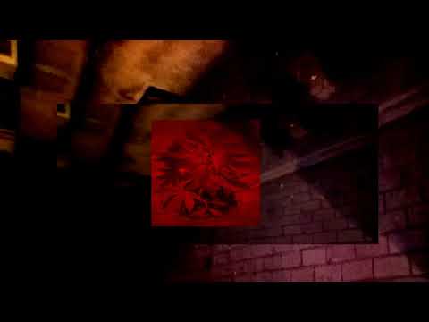 SNF - NAPRZEMIAN 30 06 prod. PLT 2018