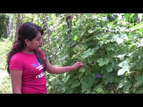 XOCHITL MOTELANA - VideoClip Oficial - El Coyote de Guerrero