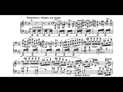 Liszt-Stradal - "Hunnenschlacht " Symphonic Poem - Risto-Matti Marin Piano