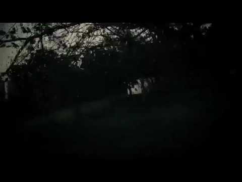 Luan Oliveira And David Gonzáles In Colômbia Part 1