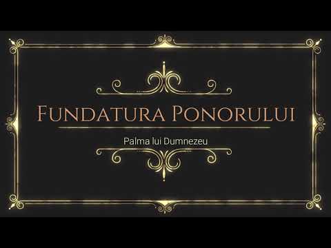 Secretele judetului Hunedoara - Fundatura Ponorului - Wow Hunedoara