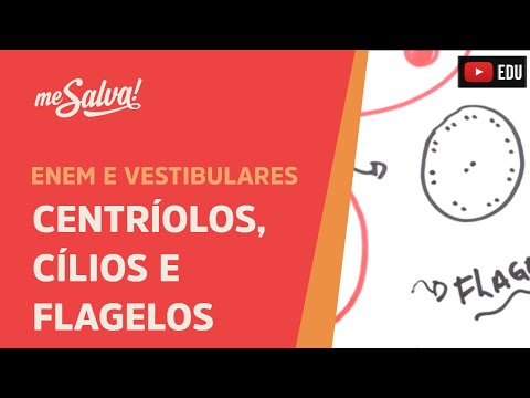 Me Salva! CIT21 - Citologia - Organelas citoplasmáticas 4 - Centríolos, Cílios e Flagelos
