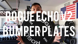 ROGUE ECHO V2 PLATES VS CRUMB RUBBER PLATES