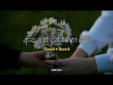 Ape As Pin Karala Athi අපෙ ඇස් පින් කරලා ඇති (slowed+reverb)