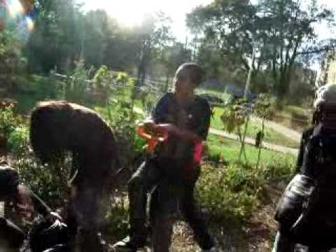 Greenest City Growing the Future