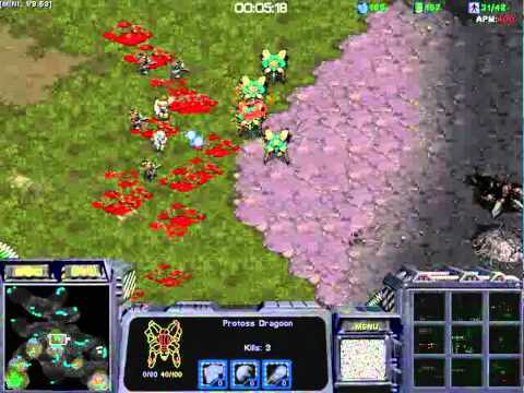 송호영: In_Dove with StarCraft