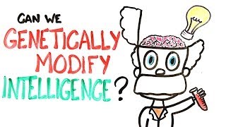 Can We Genetically Improve Intelligence?