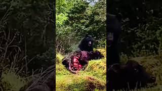 Grizzly bear survival mode #shorts #shortvideo #at