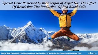 Special Gene Possessed by the Sherpas - The Effect Of Restricting The Production Of Red Blood Cells