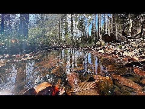 🔶#Gelterkinden 🔶#Rheinfelden