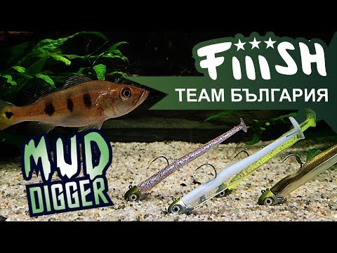 download lagu mp3 mp4 Mud Digger Fish, download lagu Mud Digger Fish gratis, unduh video klip Mud Digger Fish
