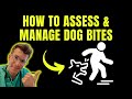 Doctor Explains How To Assess And Treat Dog Bites