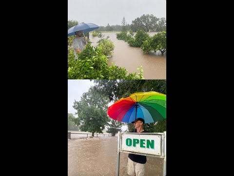 Flood Update from Daleys Fruit Tree Nursery
