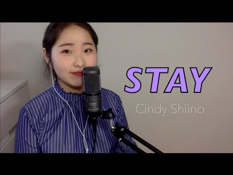 STAY -Japanese ver.(Black Pink) -Cindy Shiino