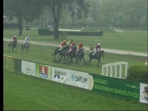 LL, 17. 4. 2017, 6. dostih - Velikonoční STCH Statek Blata Český ráj