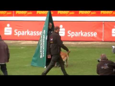 WK FMBB 2010 - Wesselmann Thomas - Protection - Grand Finale