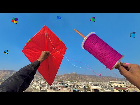 Kite Flying On Basant Panchami 2026 & kite fighting | kite cutting | kite festival | kite 