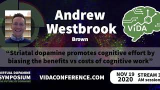 Andrew Westbrook - Dopamine Promotes Cognitive Effort