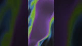 'Les Mishegas / Shut Up' Out Now