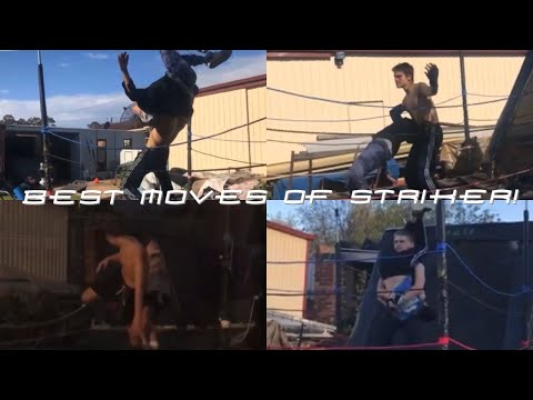 ETW Top 10 Best Moves of Striker!