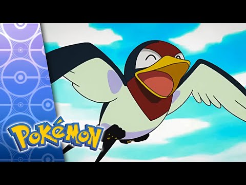 You Never Can Taillow | POKÉMON FULL EPISODE 4 | Season 6
