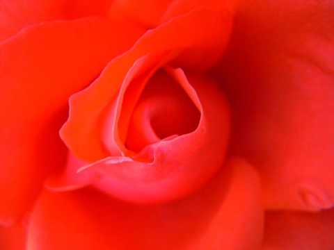 I Didn't Know I Was Saying Goodbye, Elaine Paige