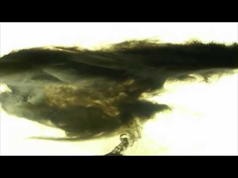 Pérez LDN - Podrido