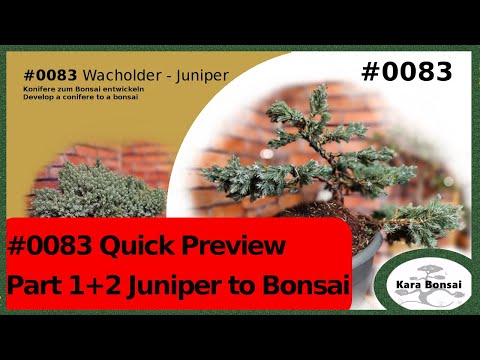 #0083 Quick Preview - 1m 45s - Juniper to Bonsai - Wacholder zum Bonsai - Kara Bonsai
