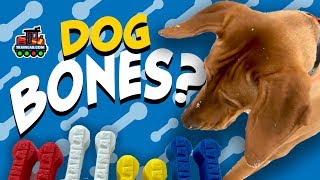 Did you know TrainLab makes dog bones? Now you can get them too! | Wooden Railway Track Connectors