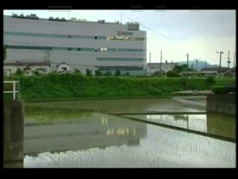 download lagu mp3 mp4 What Is A Ceramic Knife Made Of, download lagu What Is A Ceramic Knife Made Of gratis, unduh video klip What Is A Ceramic Knife Made Of