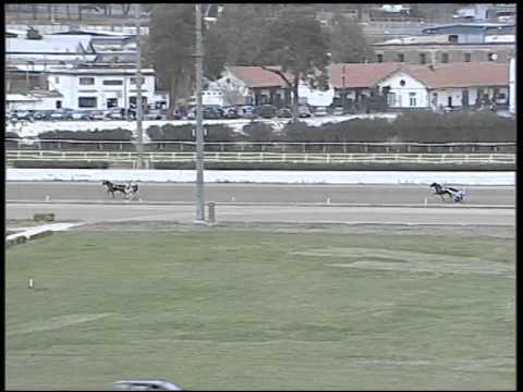 Trotto 08/01/2015 - 2°prova di riqualifica