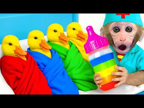 Monkey Bon Bon Takes Care of Ducklings and Eats Rainbow Popcorn | Bon Bon Indonesian