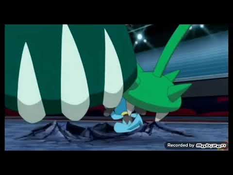 Riolu do Ash evolui pra Lucario