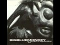 Big Blue Monkey - Headcase9999 