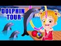 Baby Hazel Outdoor Fun Games For Kids Dolphin Tour Dinosaur Park Baby Hazel Games