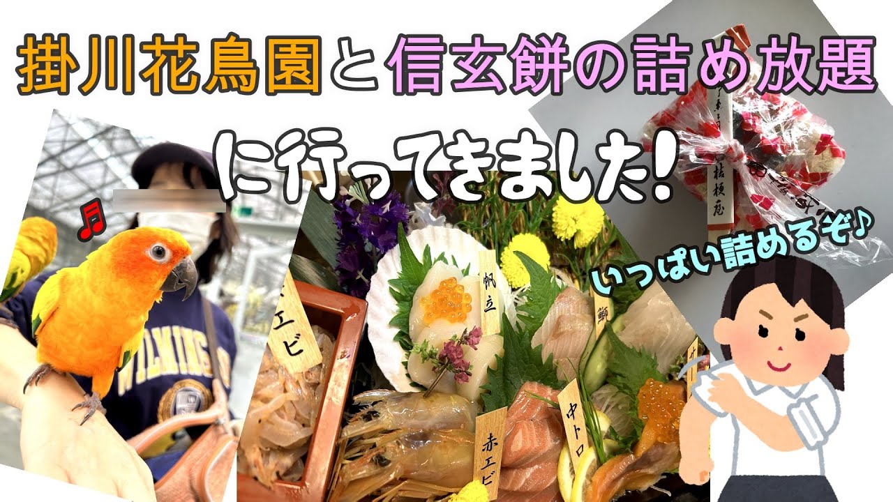 掛川花鳥園と信玄餅詰め放題の弾丸ドタバタ旅行