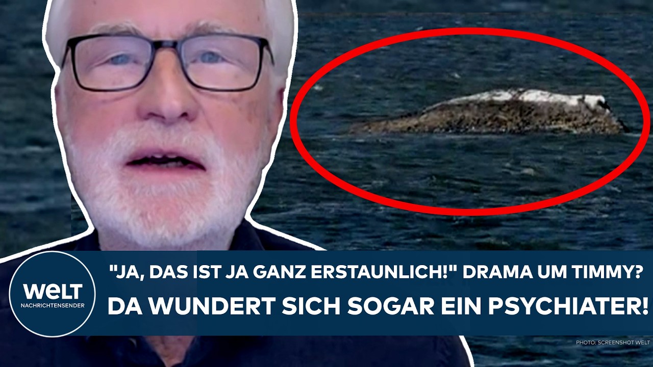 INSEL POEL: "Ja, das ist ja ganz erstaunlich!" Drama um Timmy? Da wundert sich sogar ein Psychiater!