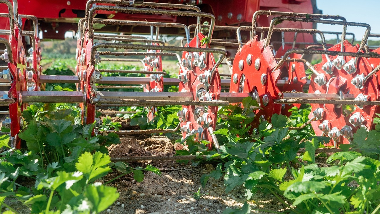 Tilmor Basket Weeder: Proof That Old-School Tools Are Still Effective Today